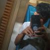 zul27_2