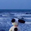 tobieboiii_7