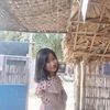zinlay25339