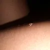 arianaisabelly7