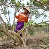 minh.nguyt.85