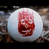 wilson070707