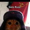 gatocomelon3