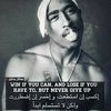 user84420608175950