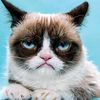 skippycatto