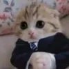 user47fpoyrpk1