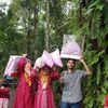 sibhaweleva