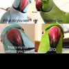 masterraven90