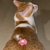 yena_hi