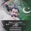 javedtailar