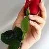 user1152550179627