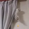 gotchi.x2