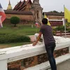 nirunrodpho