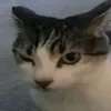 fl0ppa33ru