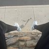 juicecart_