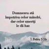 lhut.777
