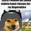 o_ghwnmcx