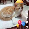 juan_ysupeluche