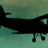 zoso306