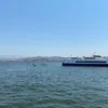 kaank3564