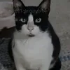 user4yrtfa8si9