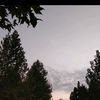 nurays032