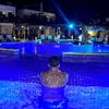 linekfernandes17