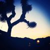 Victor Valley News - VVNG.com
