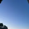 coolbirds703