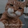 qween86arooj