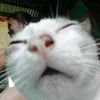 akill_1235
