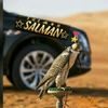 goldsalman1