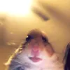 sweasdgfck_