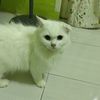 seri7576427217487seri