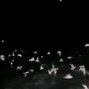 td_qnk12