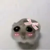 utrkj_