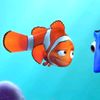 fish_nemonda