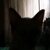 yyxxhan_