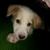 mae_08hamza