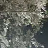 dydzx