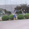 dyy38mqc7da0
