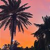 yara.chalhoub7