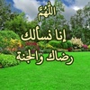 am_ali49