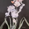 elina_kritikopoulou