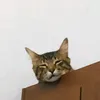 lofikit