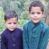 hameedgul530