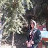 user4800617455670rapee