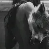 bella995ago