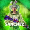 sanchez_gg17