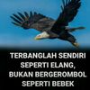 km2pejuangkilometer